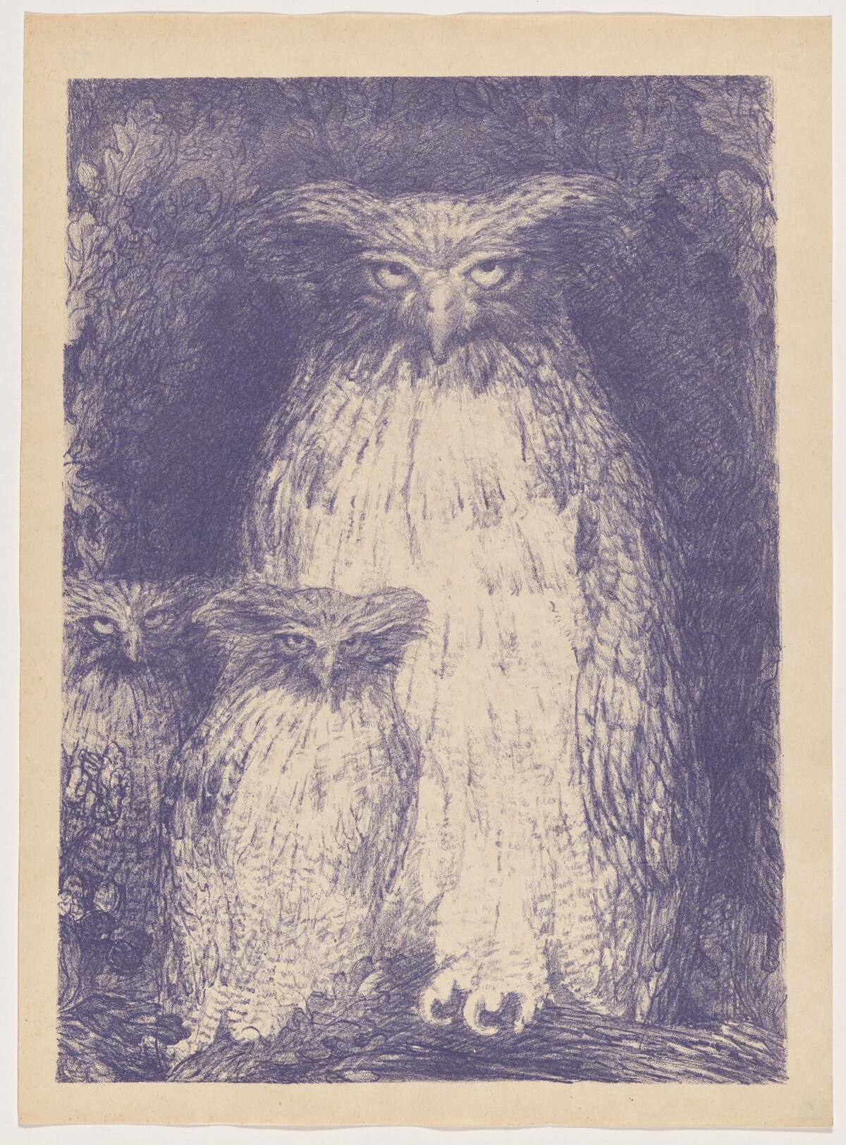 Grand-duc (Eagle Owl)