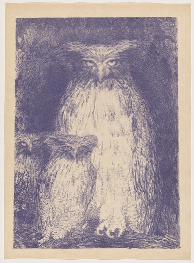 Grand-duc (Eagle Owl)