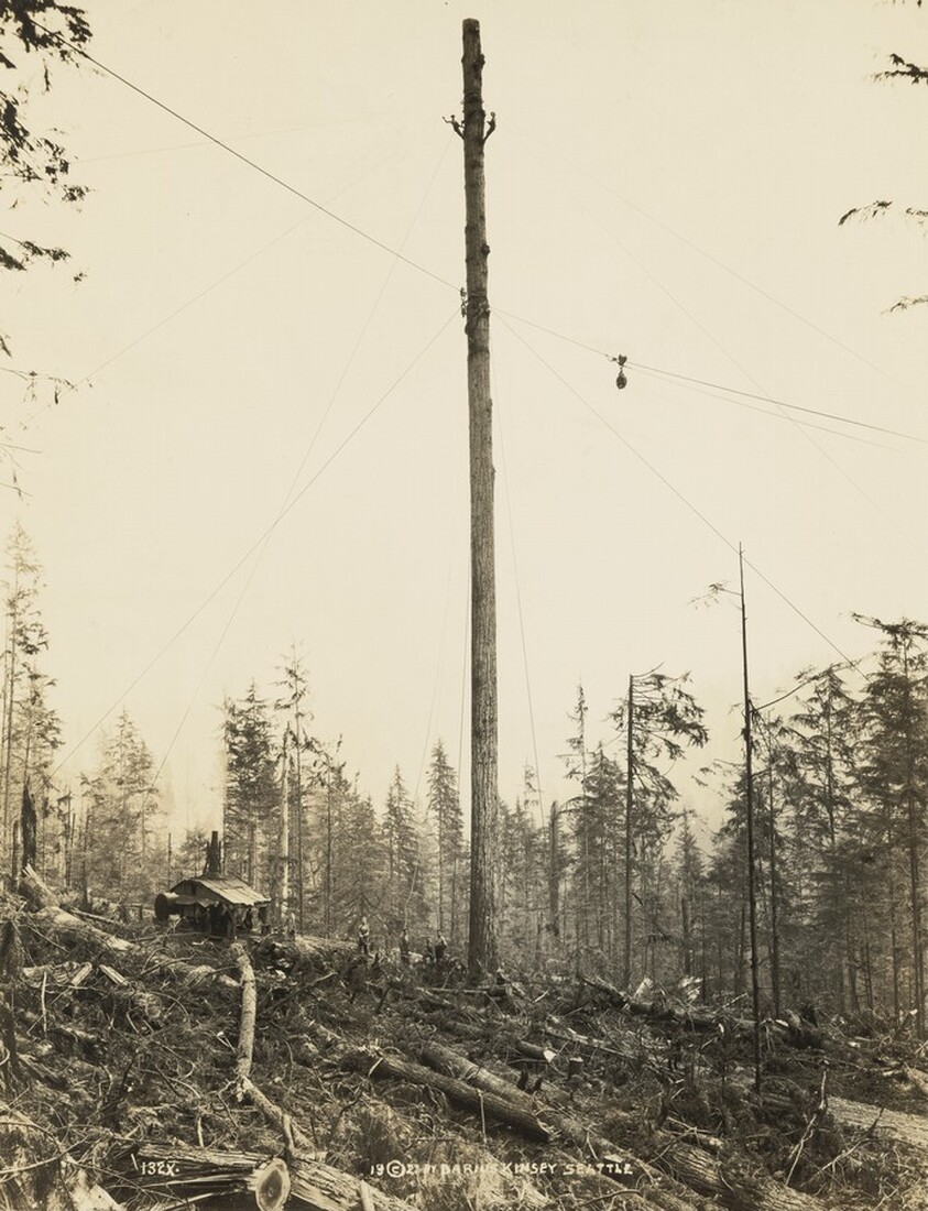 Yarding Logs with Spartree and Donkey Engine, Washington