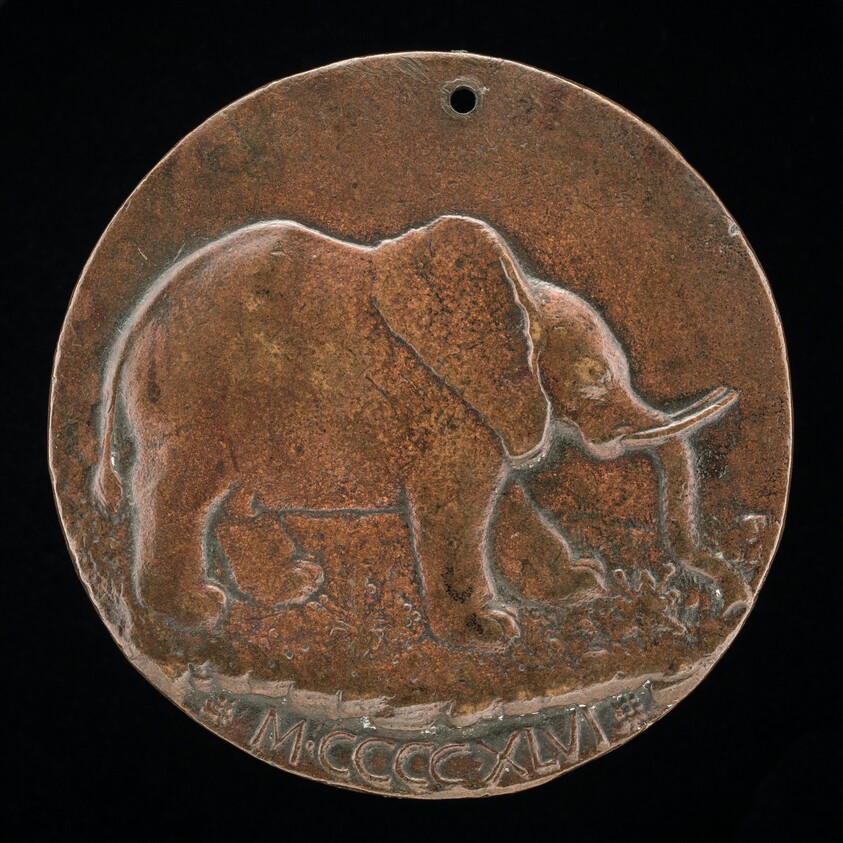 The Malatesta Elephant in a Meadow [reverse]