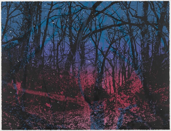 Sous Bois from Three Guilty Landscapes