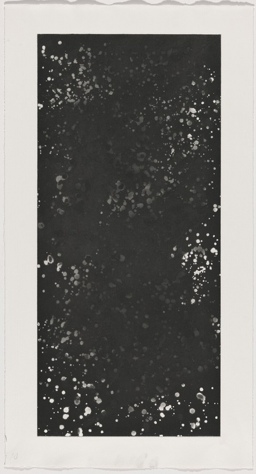 A Walk in the Woods [working proof 1 for Left Panel]