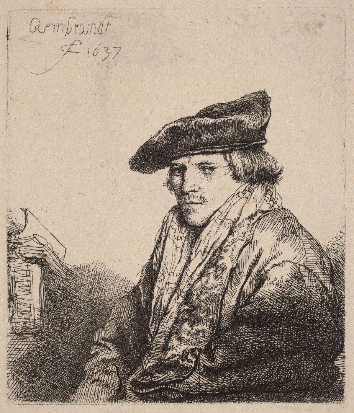 Young Man in a Velvet Cap (Petrus Sylvius?)