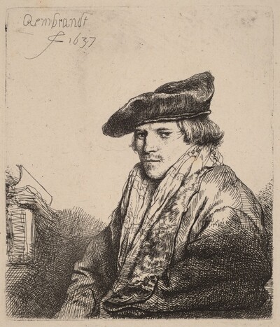 Young Man in a Velvet Cap (Petrus Sylvius?)