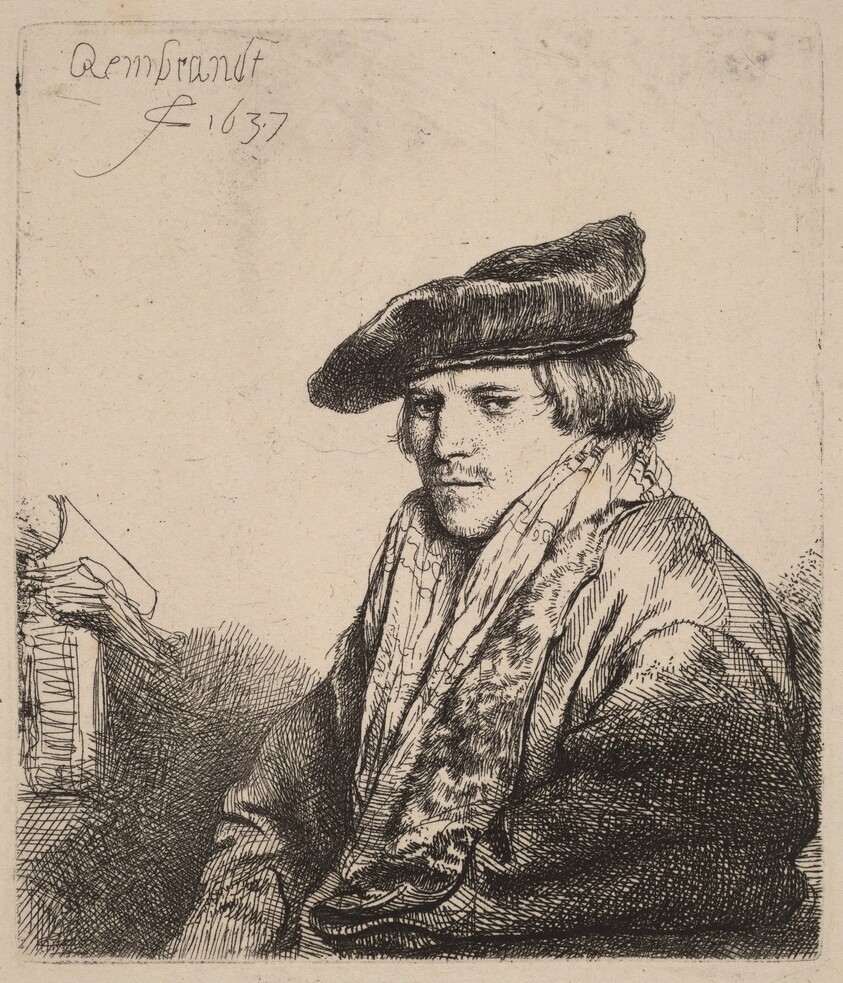 Young Man in a Velvet Cap (Petrus Sylvius?)