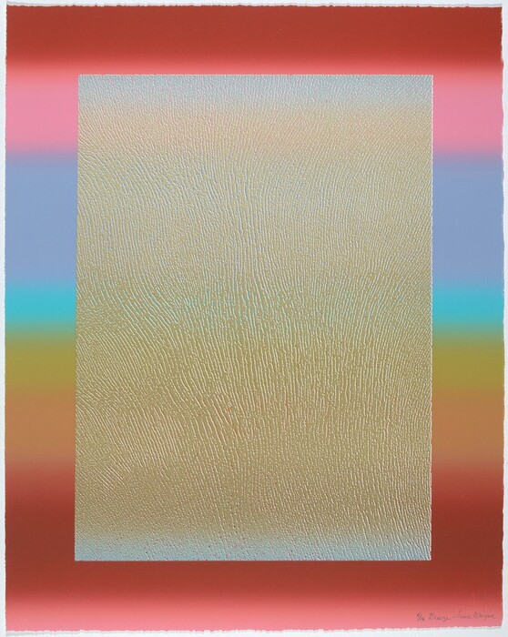 The image shows a large rectangular shape filled with intricate curving and swirling lines creating a textured pattern. Surrounding the central pattern, there is a colorful gradient border transitioning from red to pink at the top, blue and green on the sides, and red at the bottom.