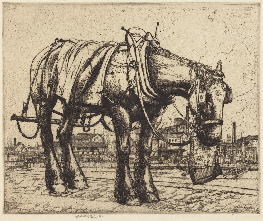 The Trace Horse