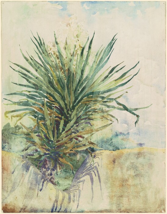 The image shows a large, green yucca plant with spiky leaves in the center of the composition. The predominant colors are green, blue, earthy brown, yellow, and white in the background sky. The plant stands upright in the foreground, with its leaves extending outward, while the background features soft colors and shapes suggesting sky and landscape.