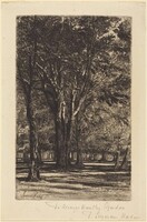 Kensington Gardens (The Larger Plate), Francis Seymour Haden, 1860