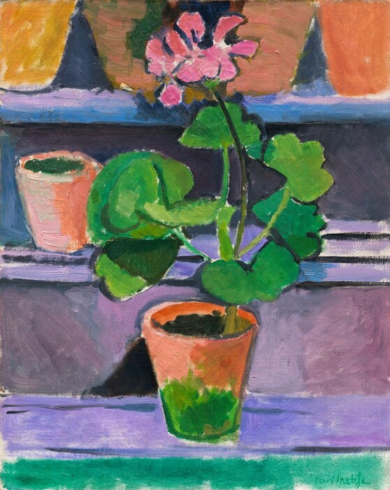 A geranium with vibrant pink blossoms sits in a terracotta pot on a ledge in front of two shelves in this stylized, vertical still life painting. The orange terracotta pot has patches of vivid spring green around its base. The rounded leaves of the plant and petals of the blossom are outlined in black and filled in with areas of parakeet and moss green for the leaves and pink for the petals. The pot sits on a bright, lavender-purple ledge, and two more shelves are stacked behind it. A single terracotta pot sits to our left behind the plant on the lower shelf, and four pots are lined up on the shelf above, cut off by the top edge of the canvas. Brushstrokes are visible throughout. A turquoise strip runs along the bottom edge of the composition, and the artist signed the lower right corner, “Henri Matisse.”