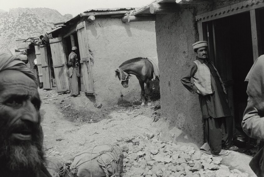 Teri Mangal, Pakistan