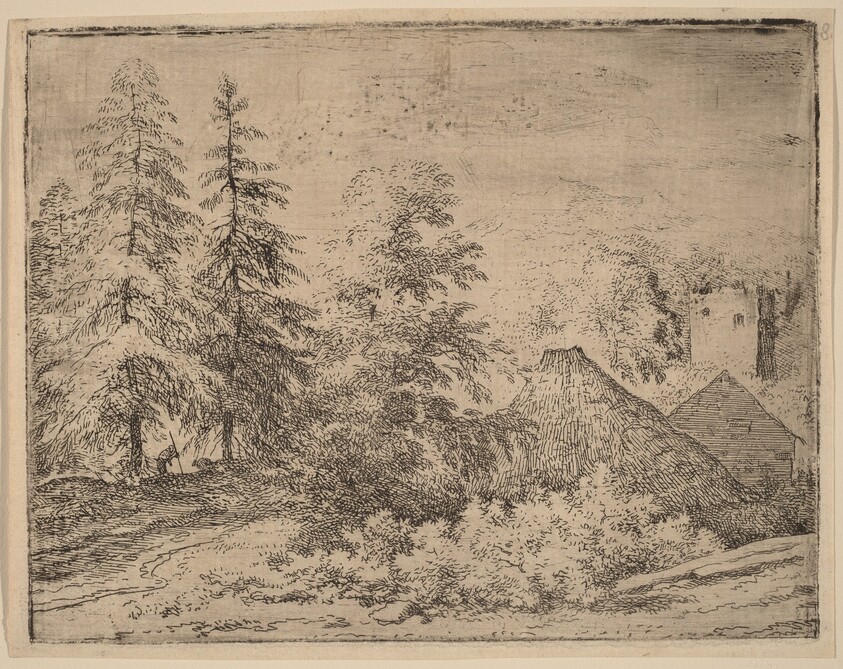 Man between Two Fir Trees