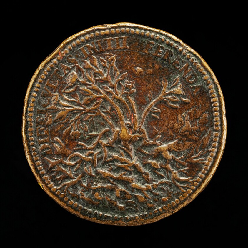 Flowering Shrub Growing through Thorns [reverse]