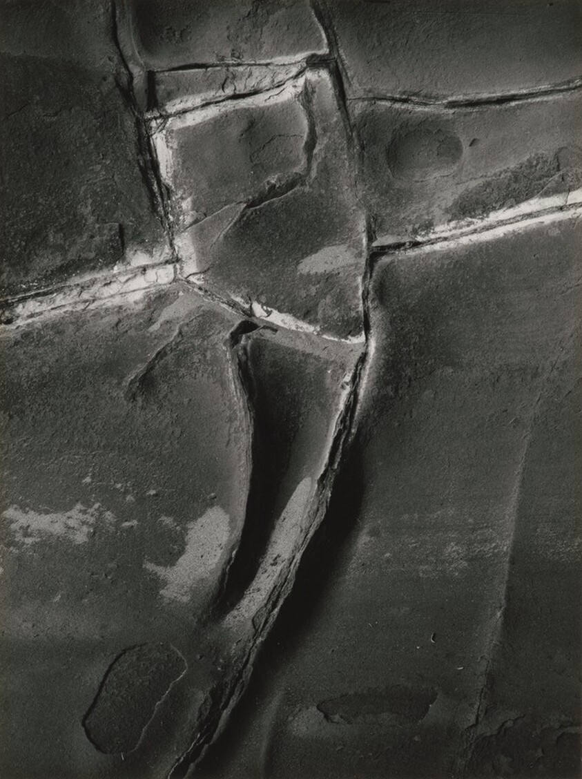 Devil's Spine, Coos Bay, Oregon