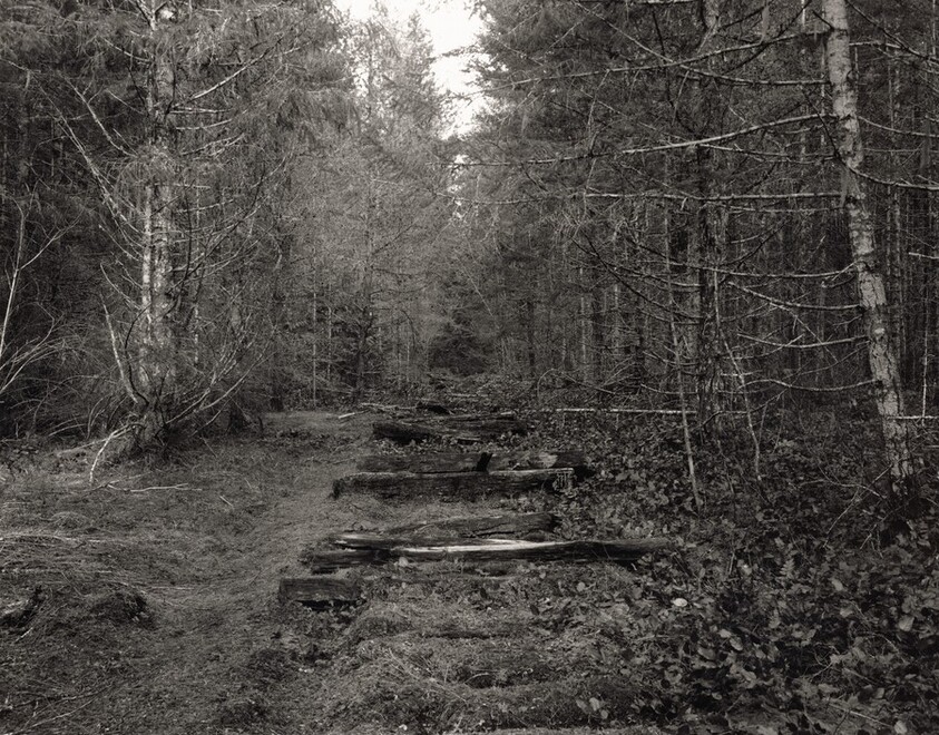 Comox Logging and Railway Company