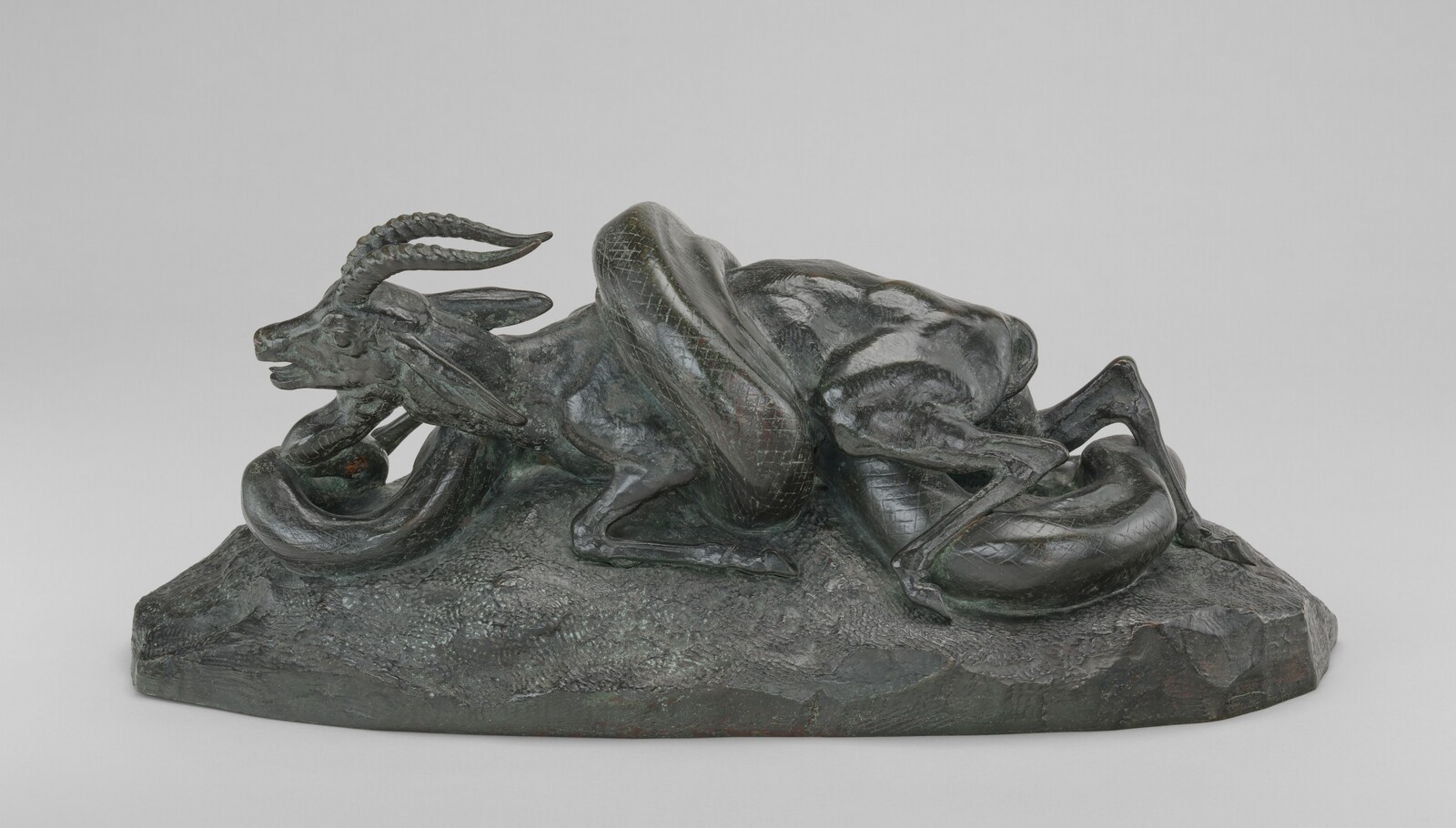 Python Crushing a Gazelle, Antoine-Louis Barye, model c. 1841, cast by 1873
