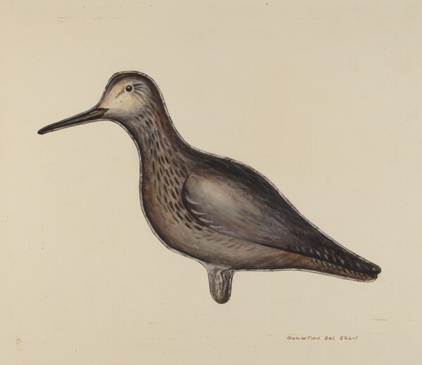 Greater Yellow Leg Decoy