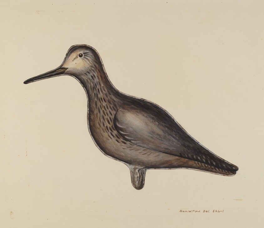 Greater Yellow Leg Decoy