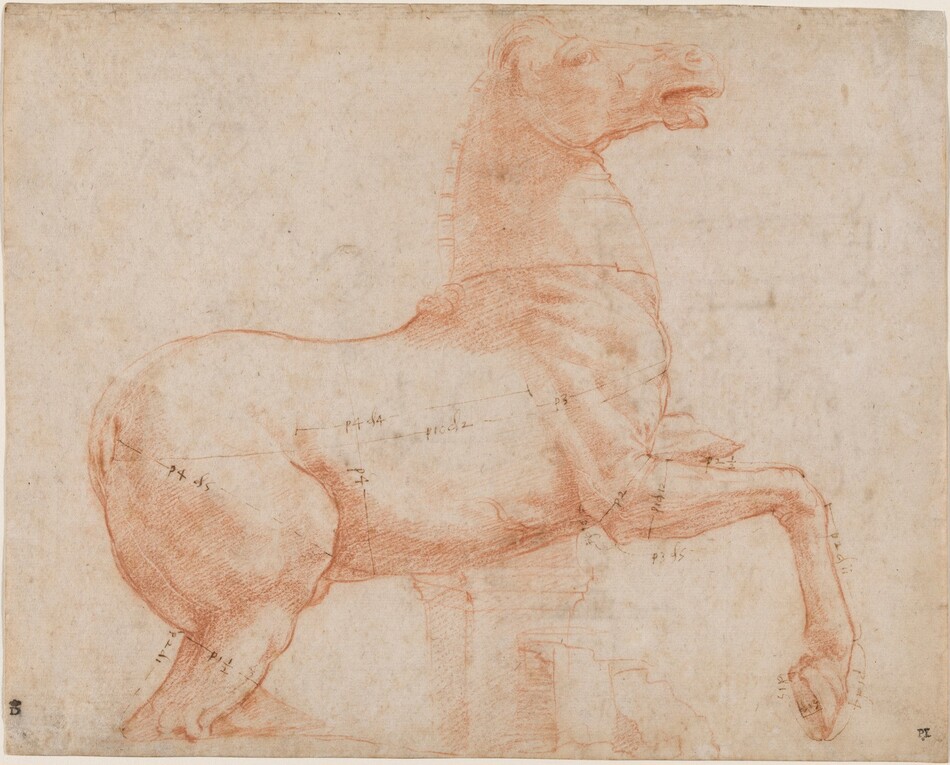 This is a drawing of a horse in a rearing position, captured in thin red lines against beige paper. The horse faces the right, its back legs only visible above the knees and its front legs raised into the air. Various measurements and annotations are visible, suggesting a study or preparatory work focusing on proportion and form. The horse's mouth is open, and its mane and tail have been cut short.