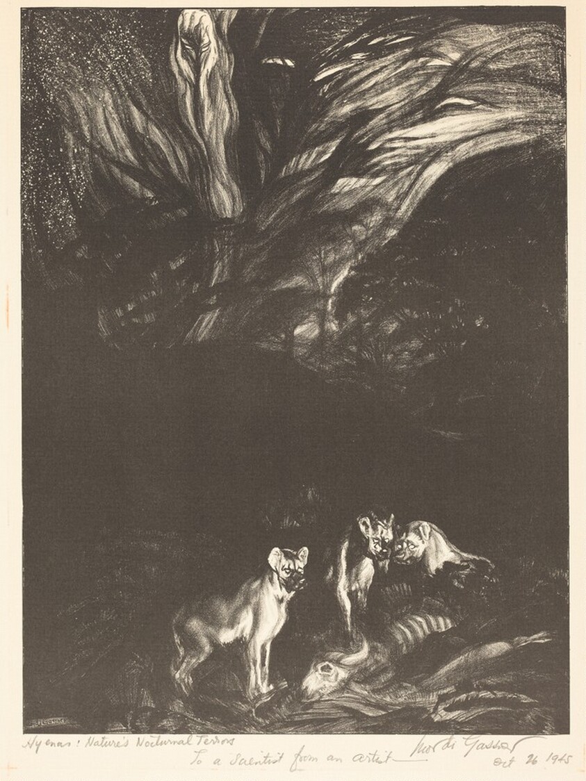 Hyenas: Nature's Nocturnal Terrors