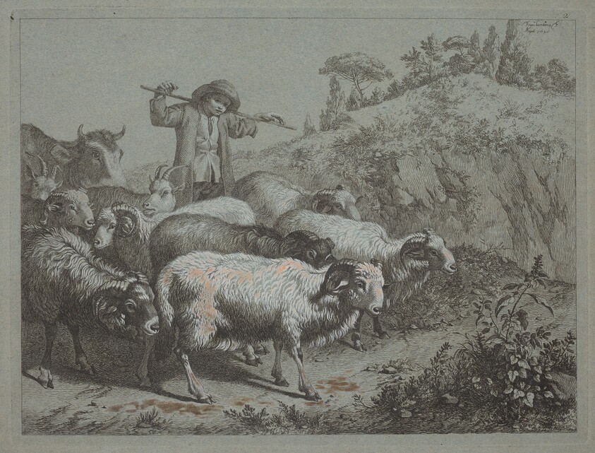 Shepherd with his Flock