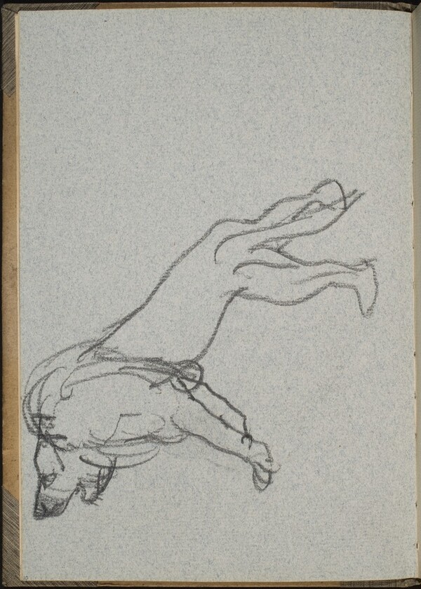 Stehender Löwe (Lion Standing) [p. 10]