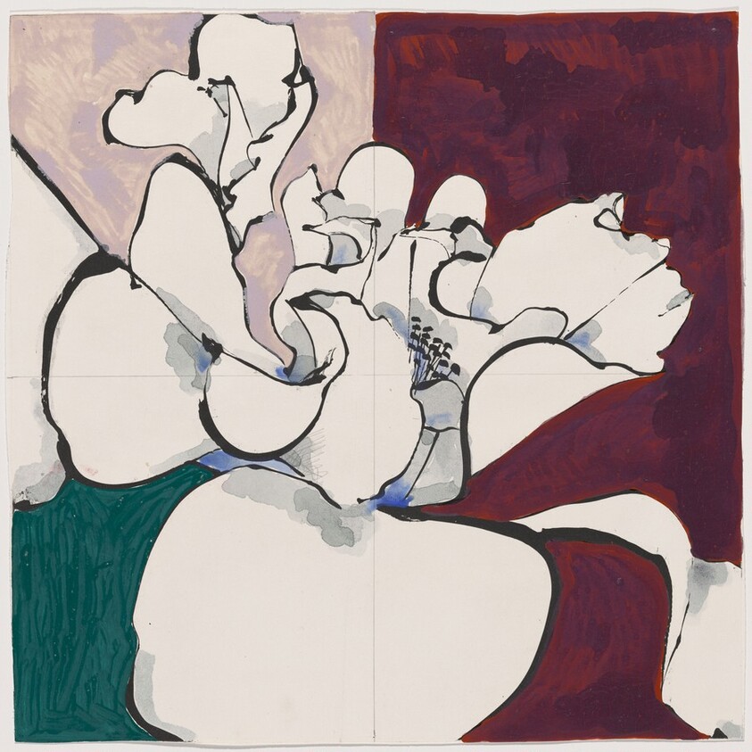 Camellia White [working proof 2]