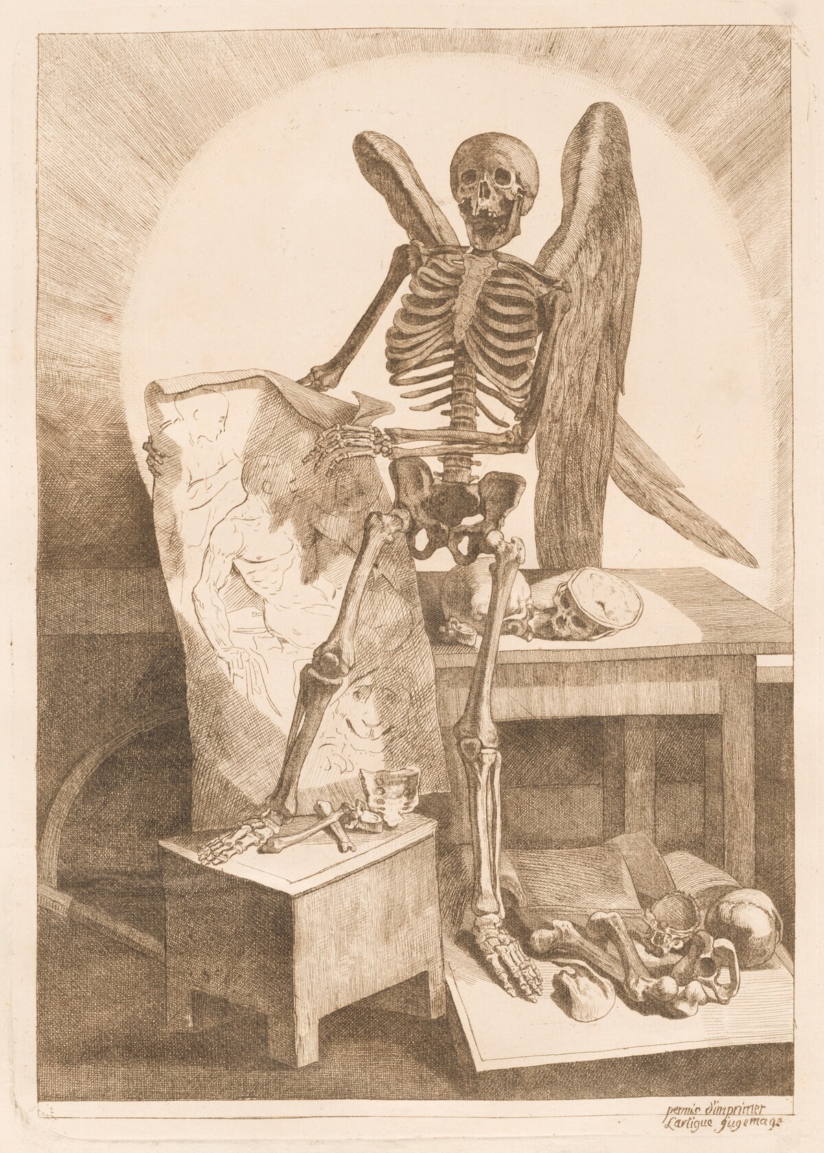A Winged Skeleton Holding an Anatomical Drawing