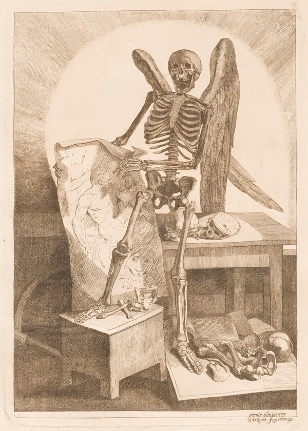 A Winged Skeleton Holding an Anatomical Drawing