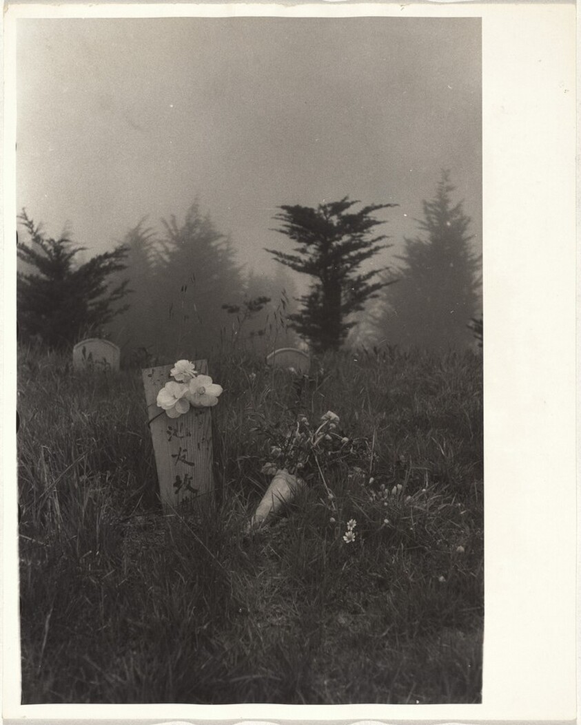 Cemetery--San Francisco