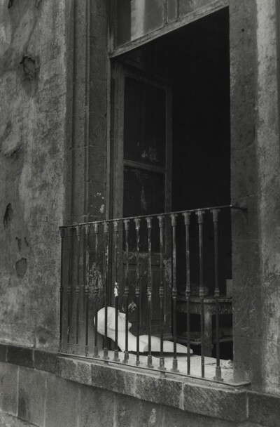 El Abandonado (The Abandoned)
