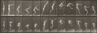 Plate Number 161. Jumping, standing high jump, Eadweard Muybridge, 1887