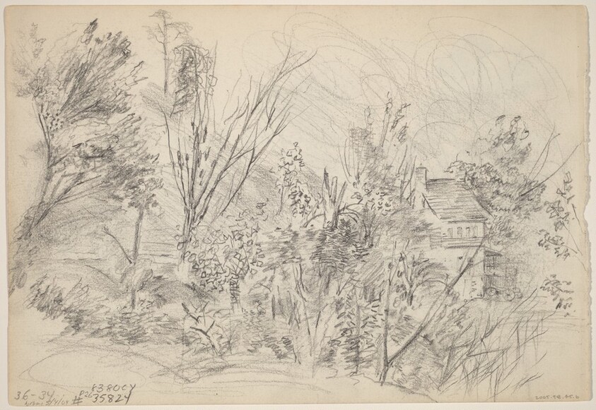 Trees and Cottage [verso]