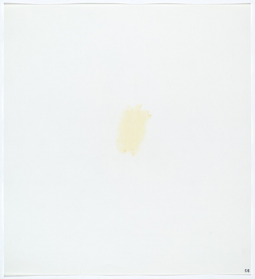 Stains: Mustard (French's)