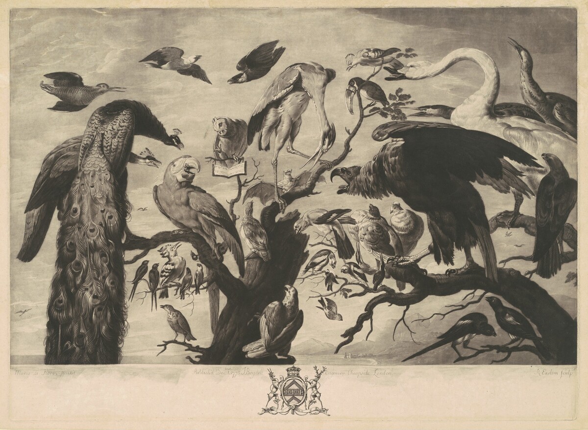 A Concert of Birds