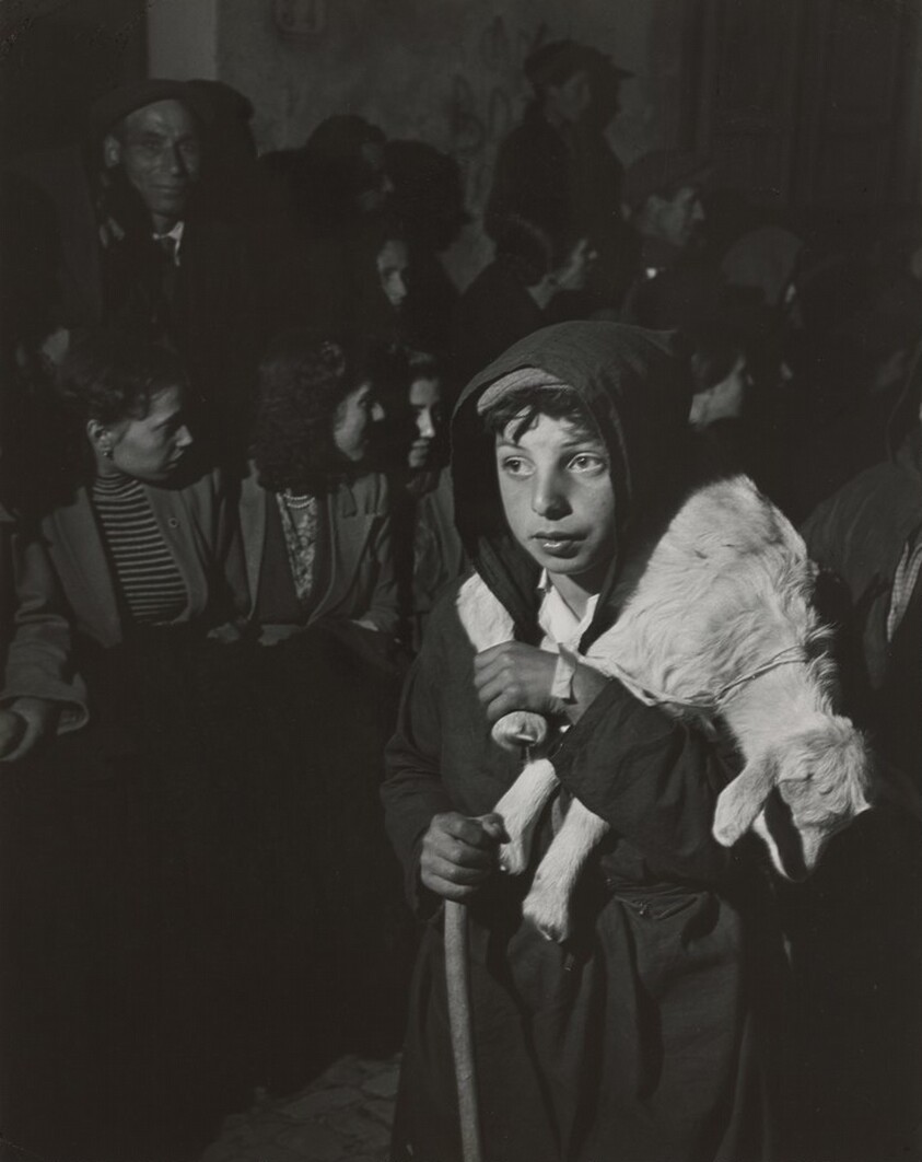 Young shepherd boy, Sicily, Italy