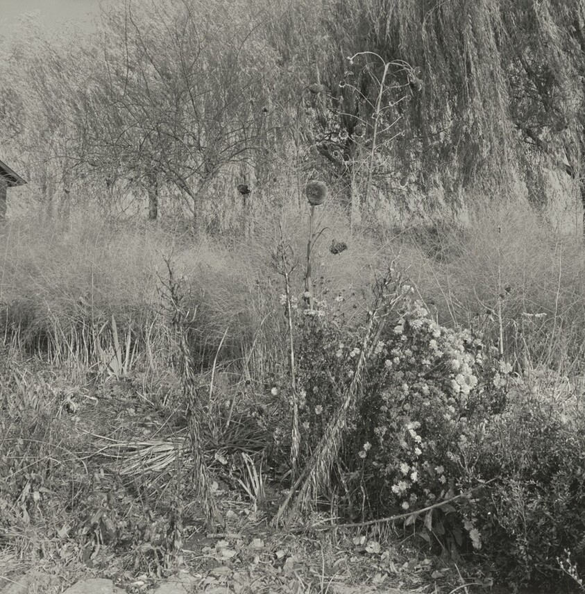 Richland County, Wisconsin