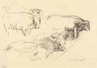 Kühe (Cows), Lovis Corinth, 1910