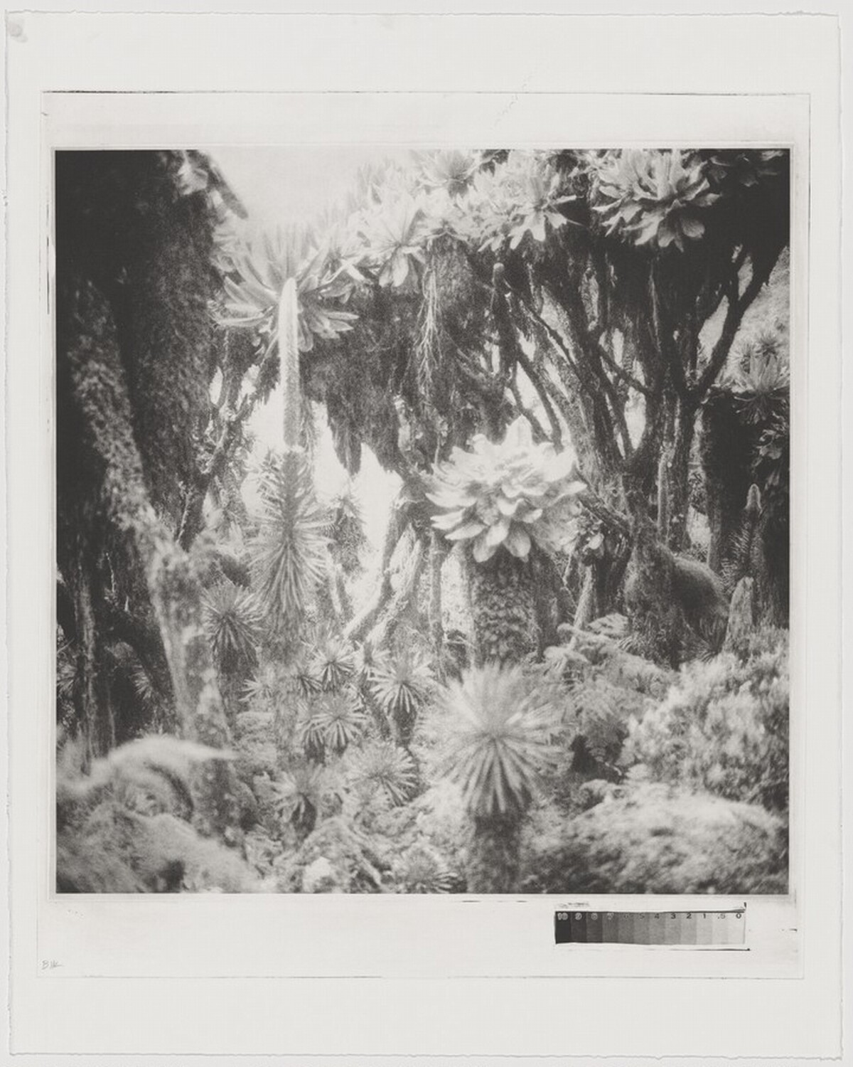 Fullmoon@Rwenzori: Mountains of the Moon [working proof 1]