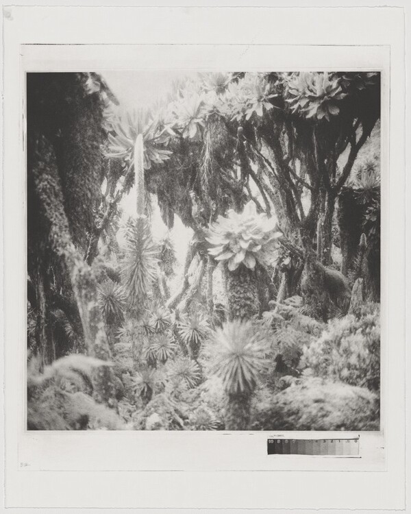 Fullmoon@Rwenzori: Mountains of the Moon [working proof 1]