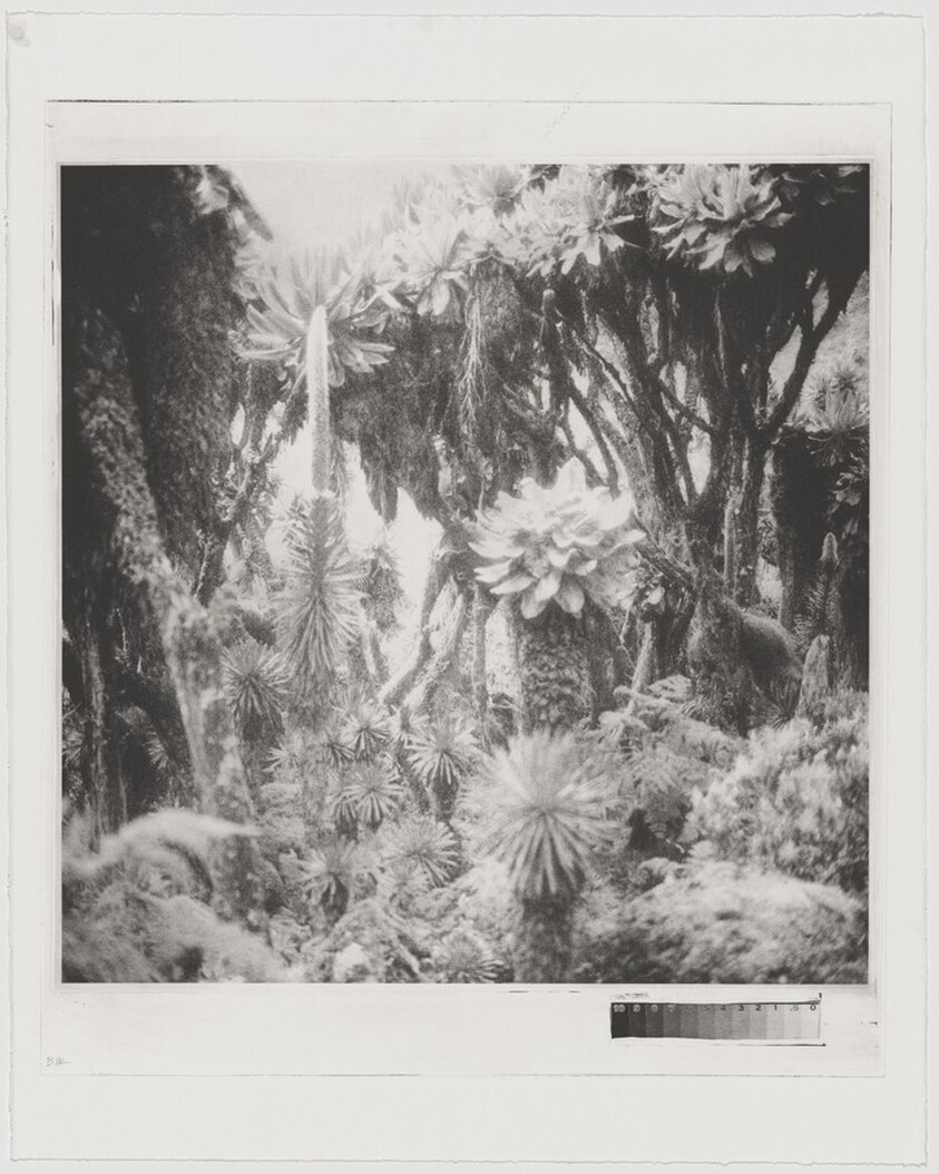 Fullmoon@Rwenzori: Mountains of the Moon [working proof 1]