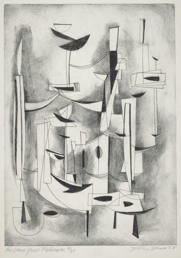 The View from Palomar