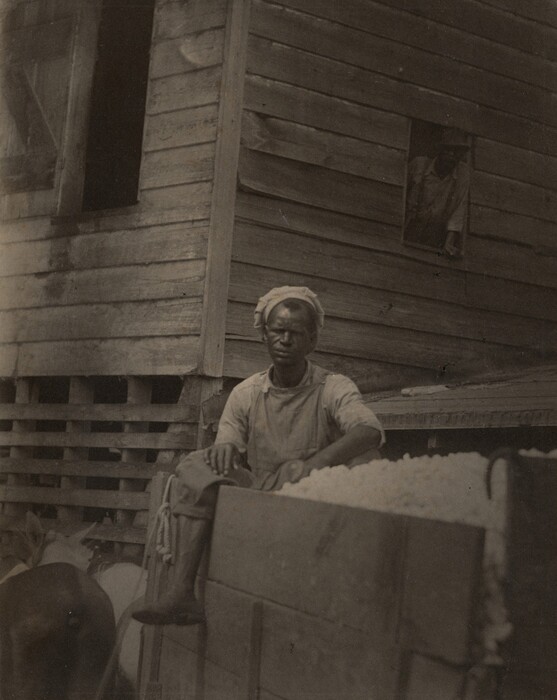 The image shows a man sitting on the edge of a container filled with cotton. He has one leg bent and resting on the container while the other leg hangs down. The man wears a headwrap, a shirt with rolled-up sleeves, and an apron-like garment. In the background, there is a wooden building, with another person faintly visible through a window. An animal, likely a mule, is partially visible in the lower left corner.