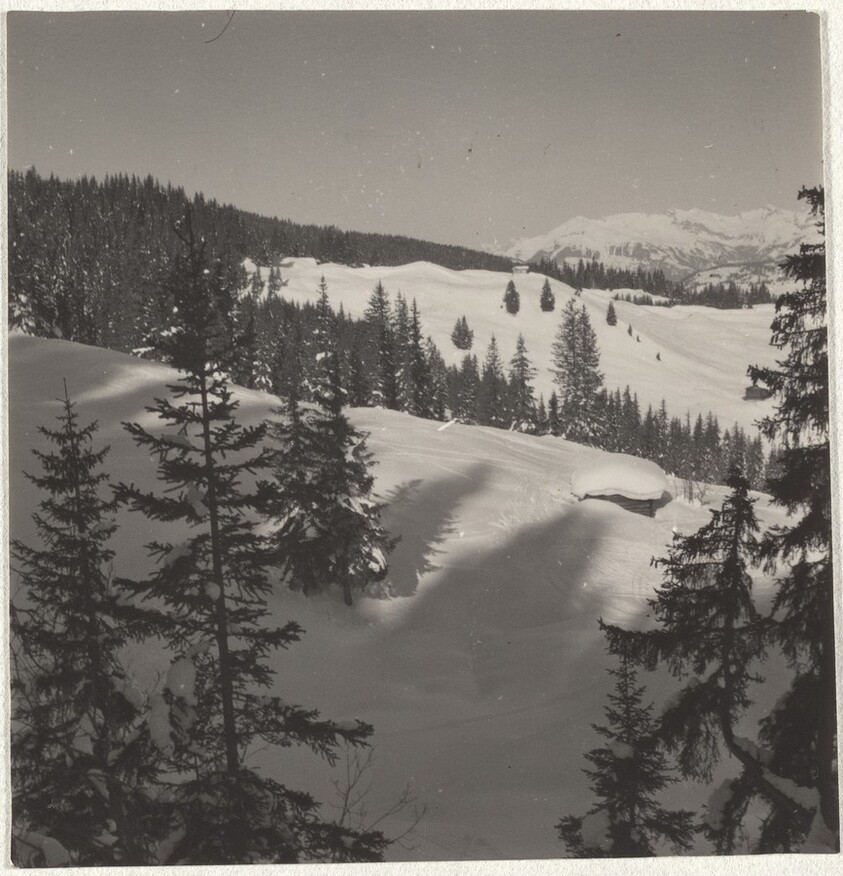 Mountainside--Landscape