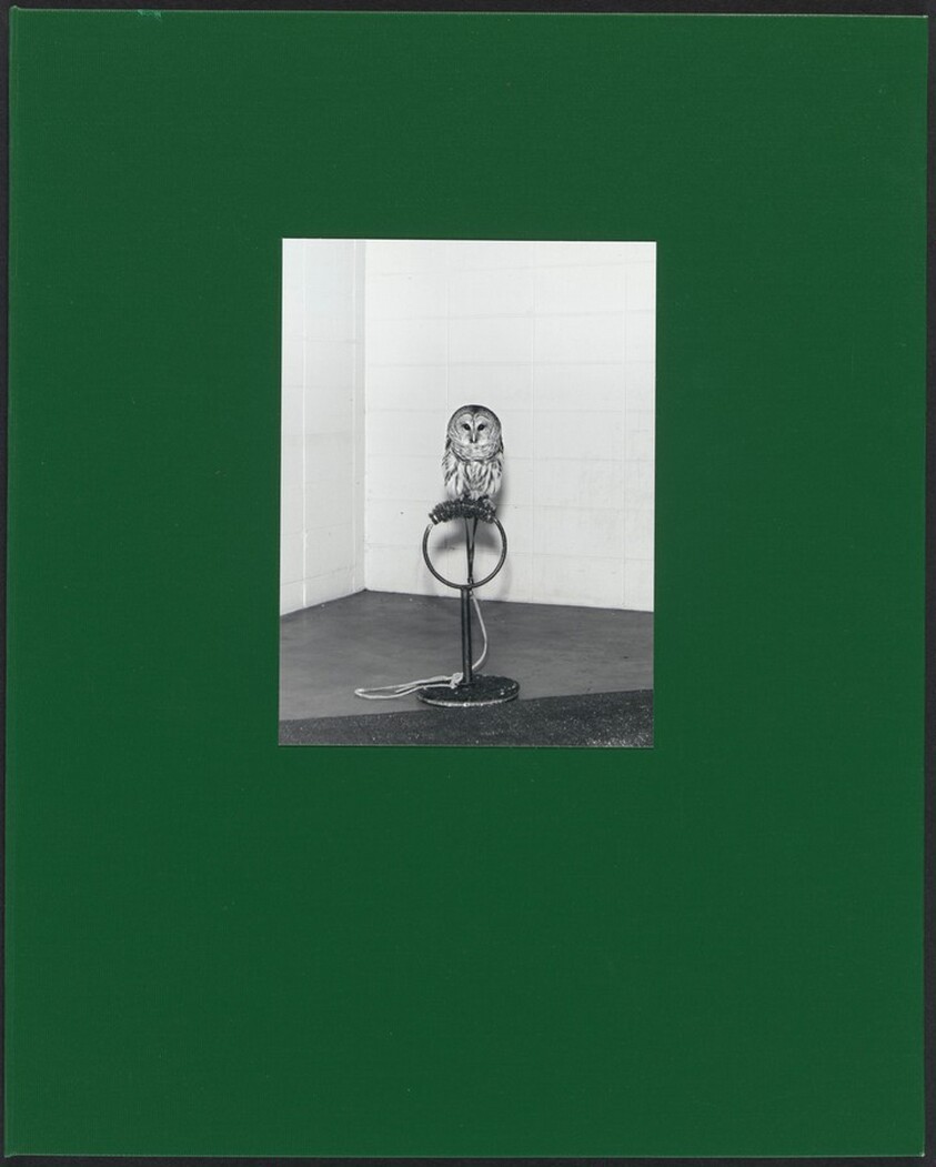 Dispatch No. 5: COLORADO