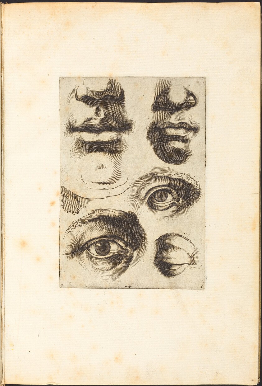 Print from Drawing Book