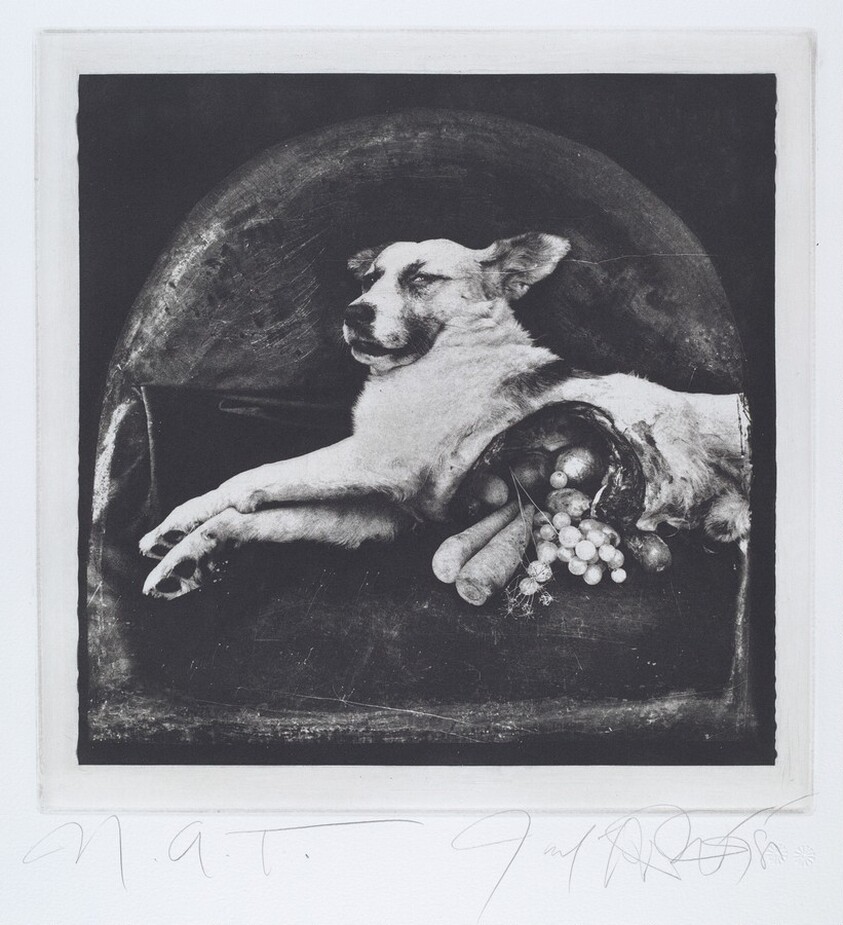 The Result of War: The Cornucopian Dog