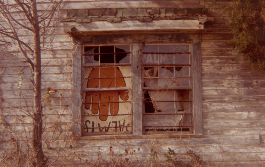 Side of Palmist Building, Havana Junction, Alabama