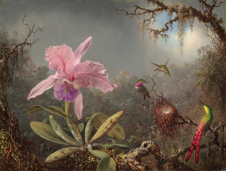 Against a distant, hazy, verdant forest, a petal-pink and amethyst-purple orchid grows from a mossy branch close to us, to our left, while three jewel-toned hummingbirds gather around a nest to our right in this horizontal painting. Two pale pink, ruffled petals of the orchid flare up and out from the hot-pink, furled center. The lip-like petal below is amethyst purple brushed with pale yellow along its top. Three narrow, pink petals create a triangle behind the center of the bloom. Some of the pale honeydew-green pods and leaves growing from the base of the plant are speckled with brown spots. The orchid grows on a gnarled brown branch painted with daubs of white, burnt orange, goldenrod yellow, and scarlet red along its length, which spans the width of the painting. Three hummingbirds with narrow, pointed beaks tend a nest built further along the branch to the right of the orchid. The largest is perched with its back to us. It has a vibrant green body and a two-pronged, crimson-red tail. Its head is turned up and to our left, looking at the second bird fluttering on a branch across the nest. The second bird’s avocado-green and dusty rose-pink body curves downward from outstretched wings. The third bird is perched on a nearby branch to our left, its head turned to the right to look at the others. Two white eggs are partially visible in the nest, which is shaped like an upside-down cone. The nest is woven with wavy, dangling strands of burnt-orange plant material. The orchid, birds, and nest fill the center of the composition. The scene is brightly lit from upper left. More leafy branches covered with hanging vines rise on either side of the painting. The background is filled with a dense growth of plants and trees, painted with blended shades of muted greens and pinks creating a diffuse, watery haze. The sky takes up the upper third of the composition and is filled with smoke-gray clouds except for a small circle of blue sky peeking through the branches of the tree in the upper right.