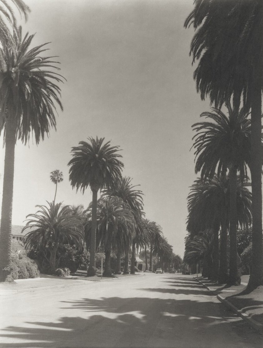 Georgina, Santa Monica